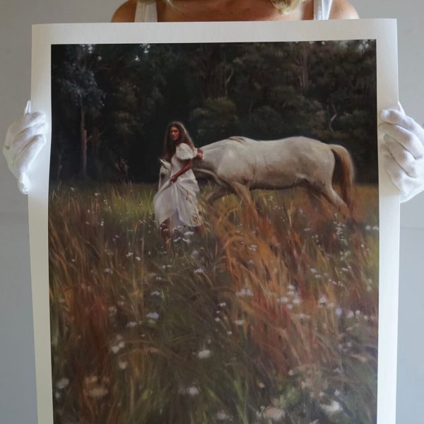 Wildflowers